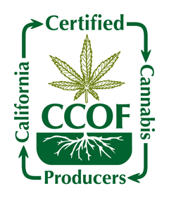 CCOF OCAL