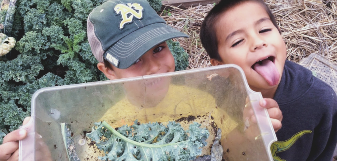 Pueblo-Vista-Magnet-School-10