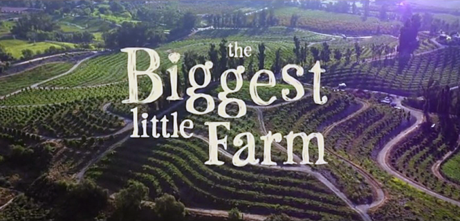最大的小农场