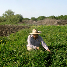 Calcan Farmer