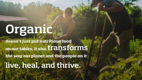 有机食品不仅在我们的桌子上放入营养食品，还可以改变我们的星球和它的人的生活，治愈和繁荣的方式。